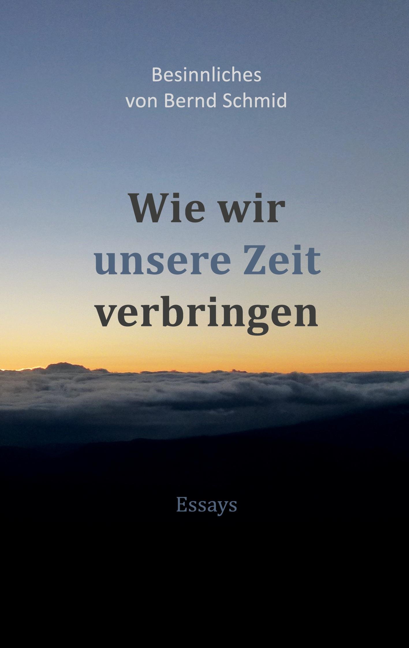 Vorderes Coverbild Wie wir unsere Zeit verbringen