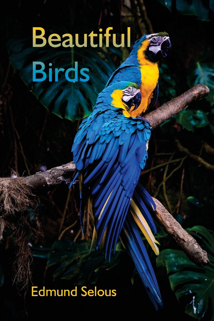 Vorderes Coverbild Beautiful Birds
