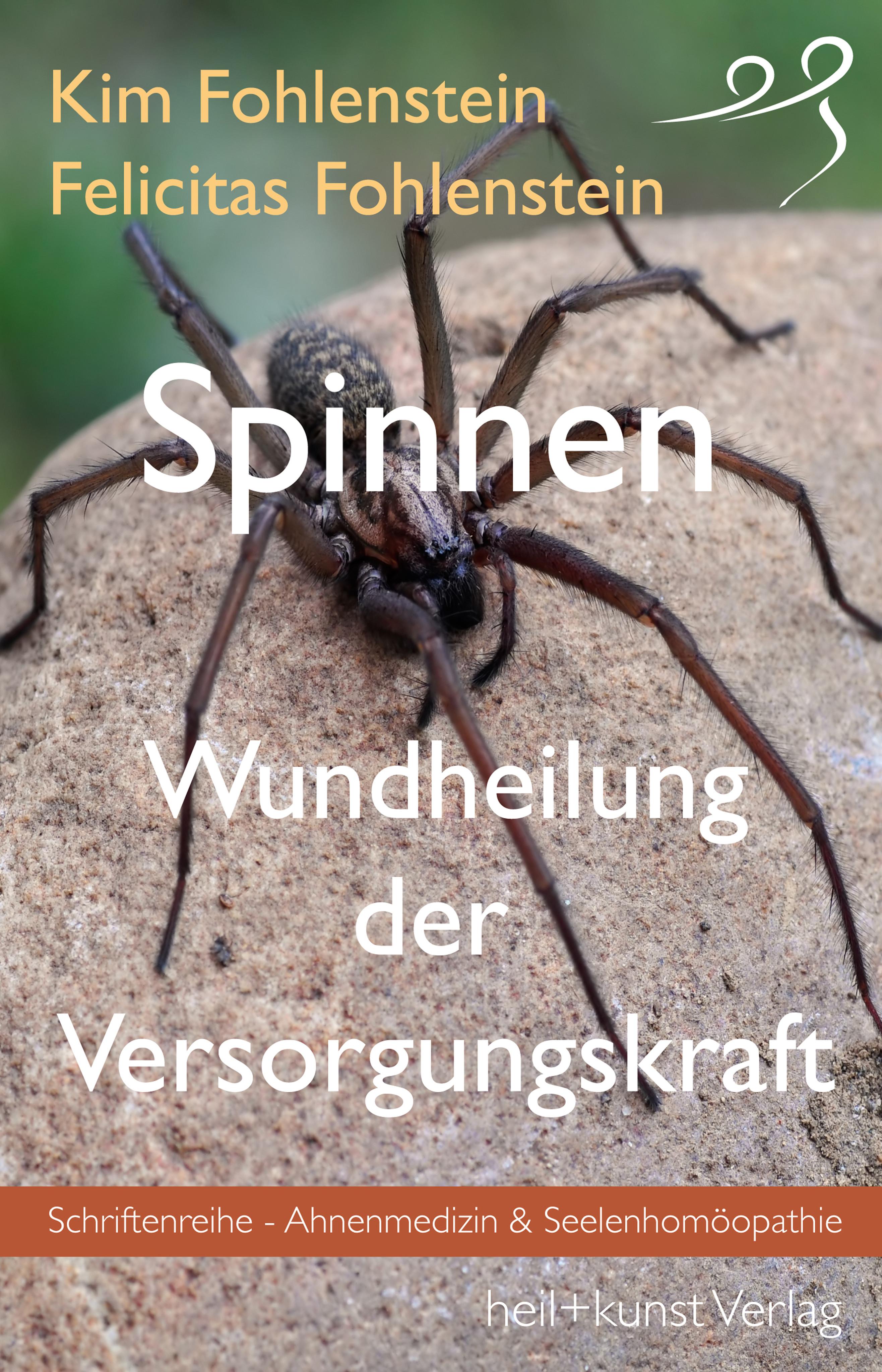 Vorderes Coverbild Spinnen - Wundheilung der Versorgungskraft