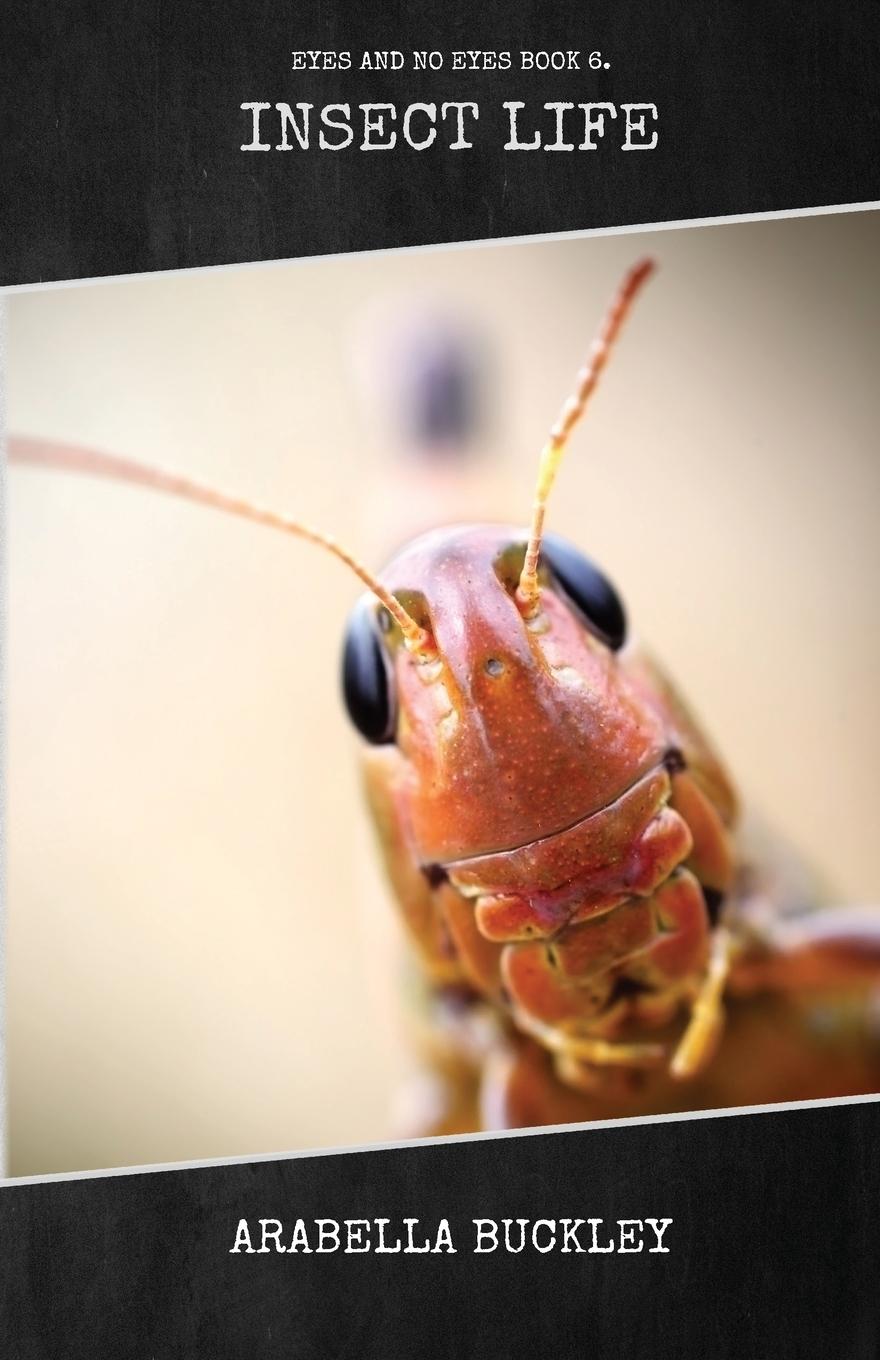 Vorderes Coverbild Insect Life