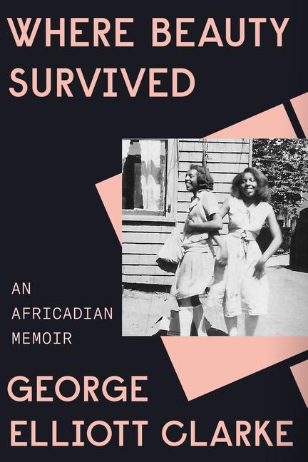 Vorderes Coverbild Where Beauty Survived: An Africadian Memoir
