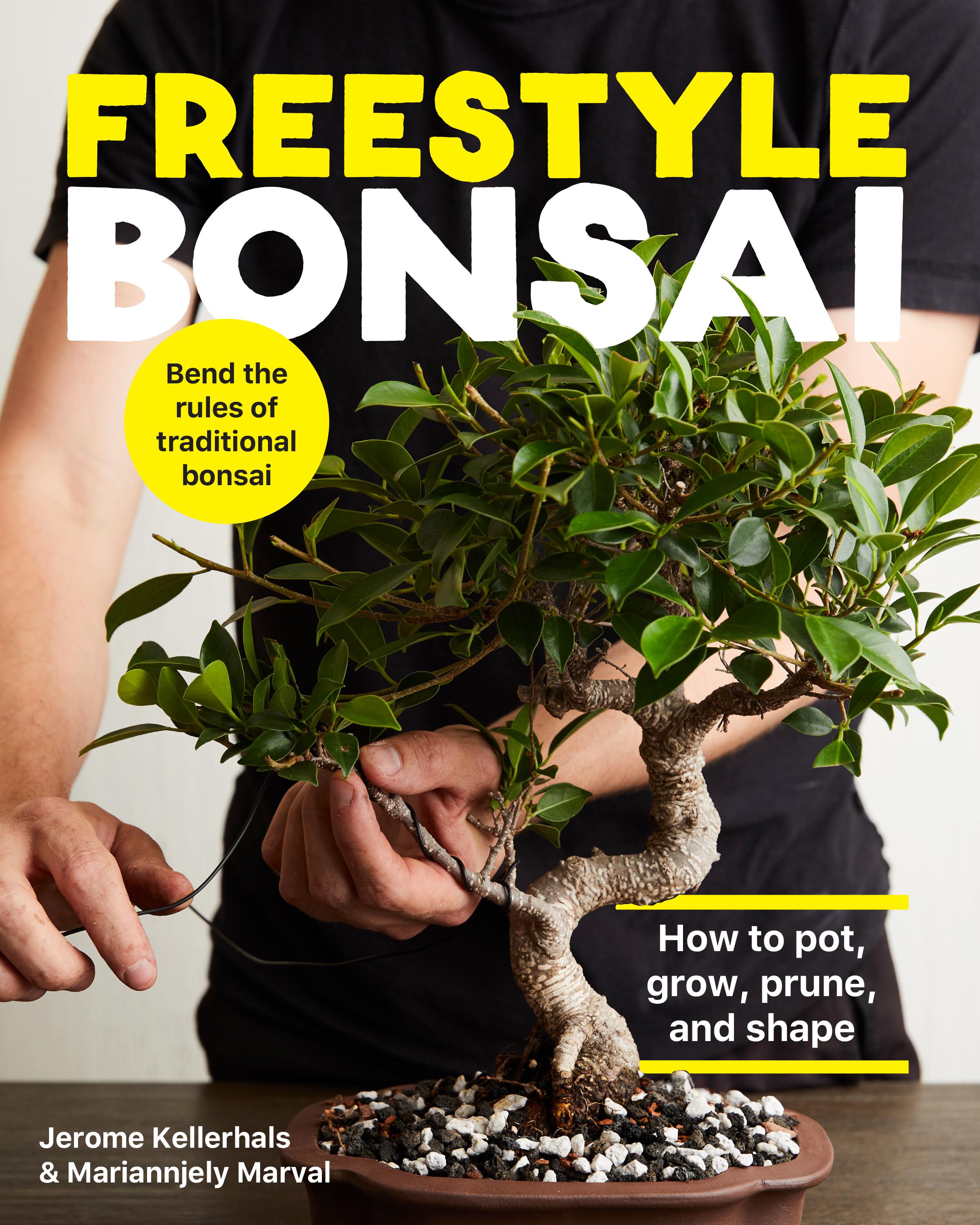 Vorderes Coverbild Freestyle Bonsai