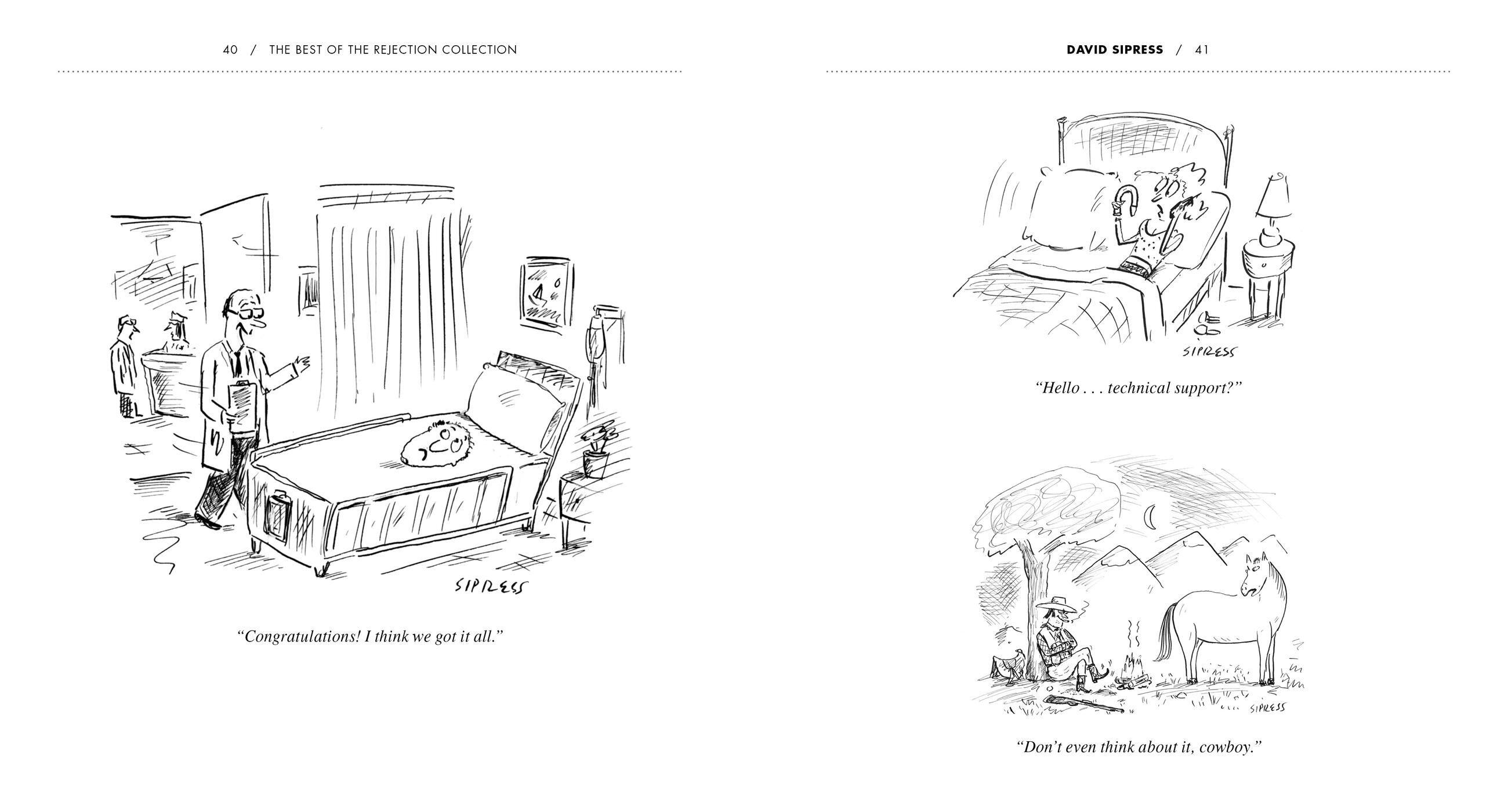 Beispielinhalt (Bild) The Best of the Rejection Collection