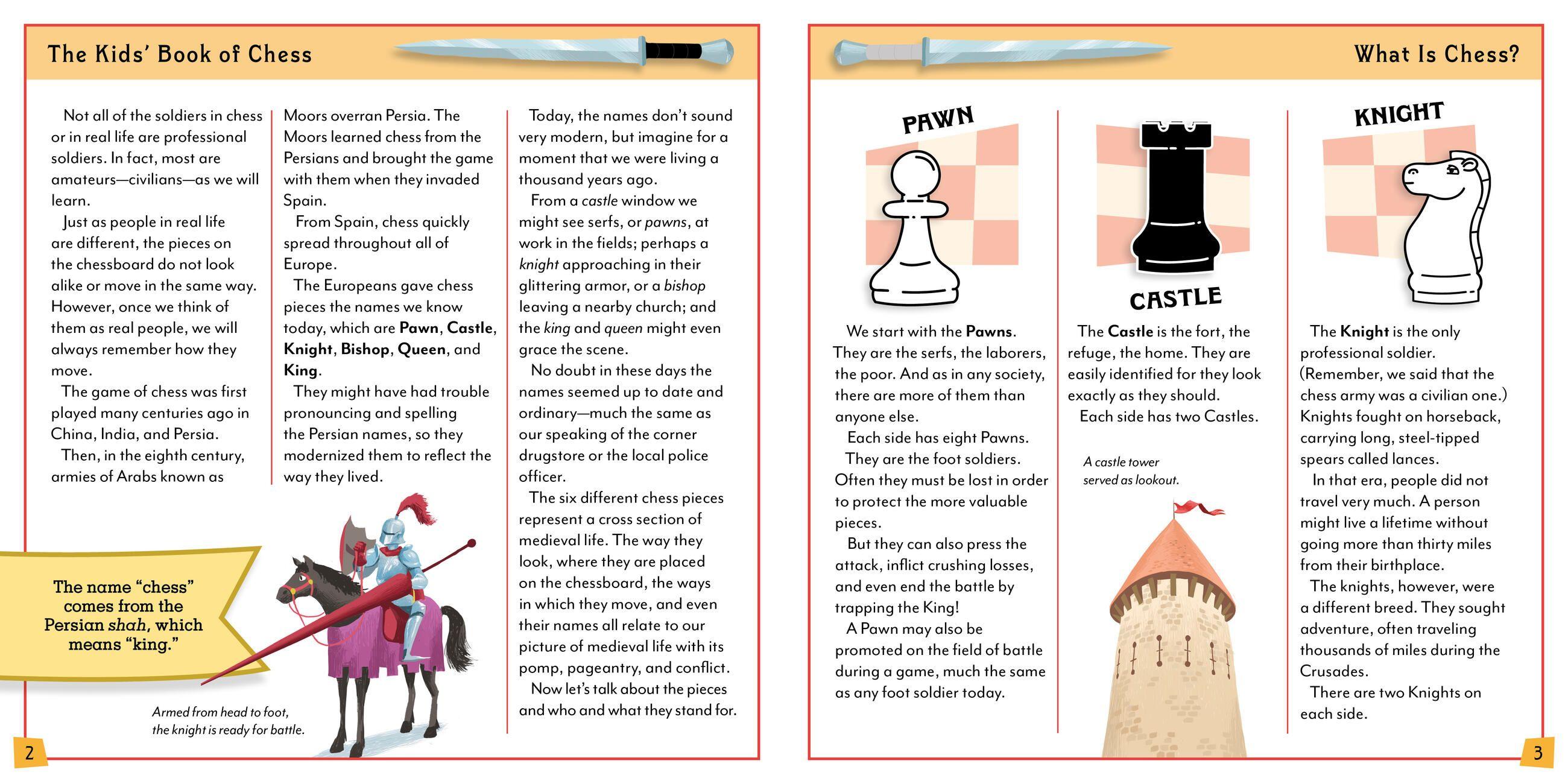 Beispielinhalt (Bild) The Kids' Book of Chess and Starter Kit
