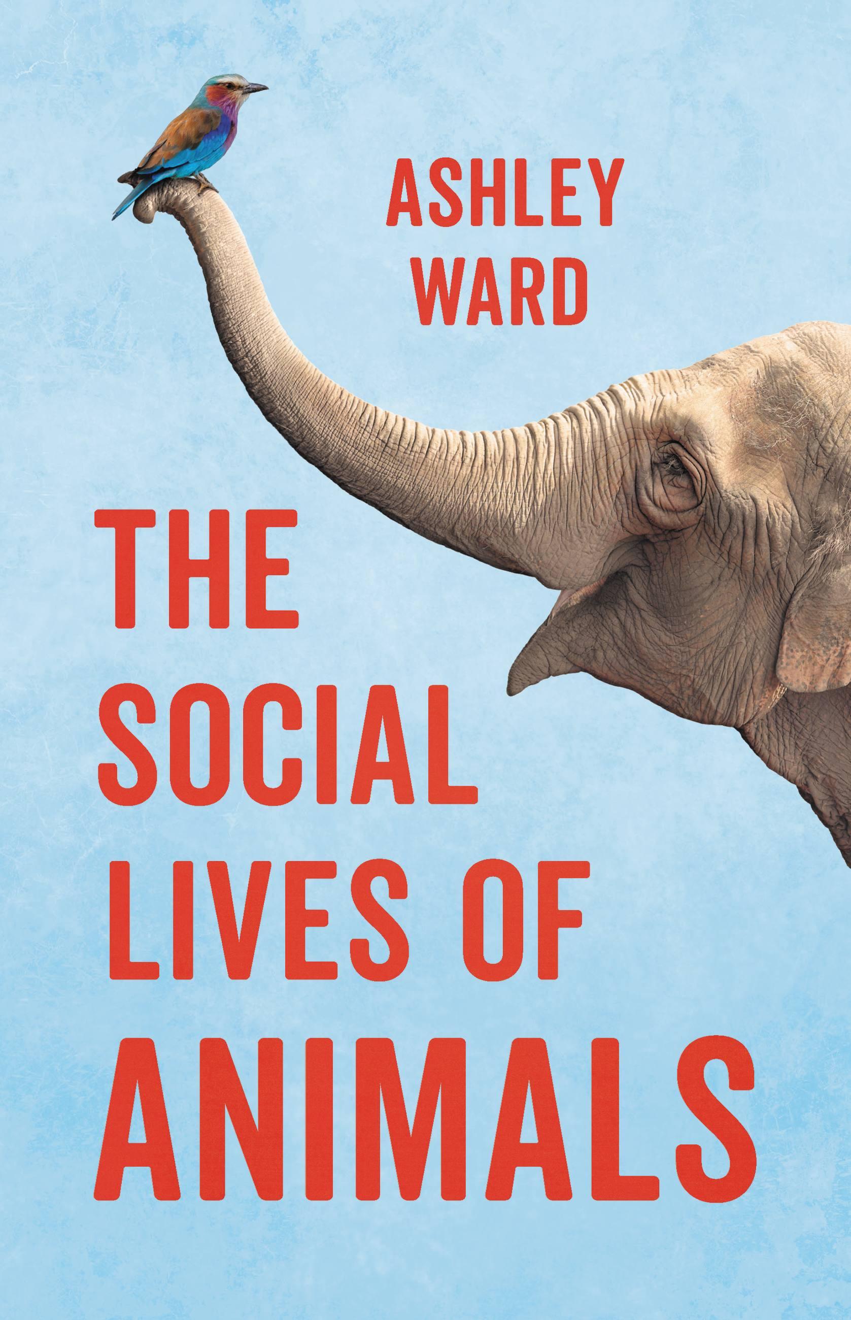 Vorderes Coverbild The Social Lives of Animals