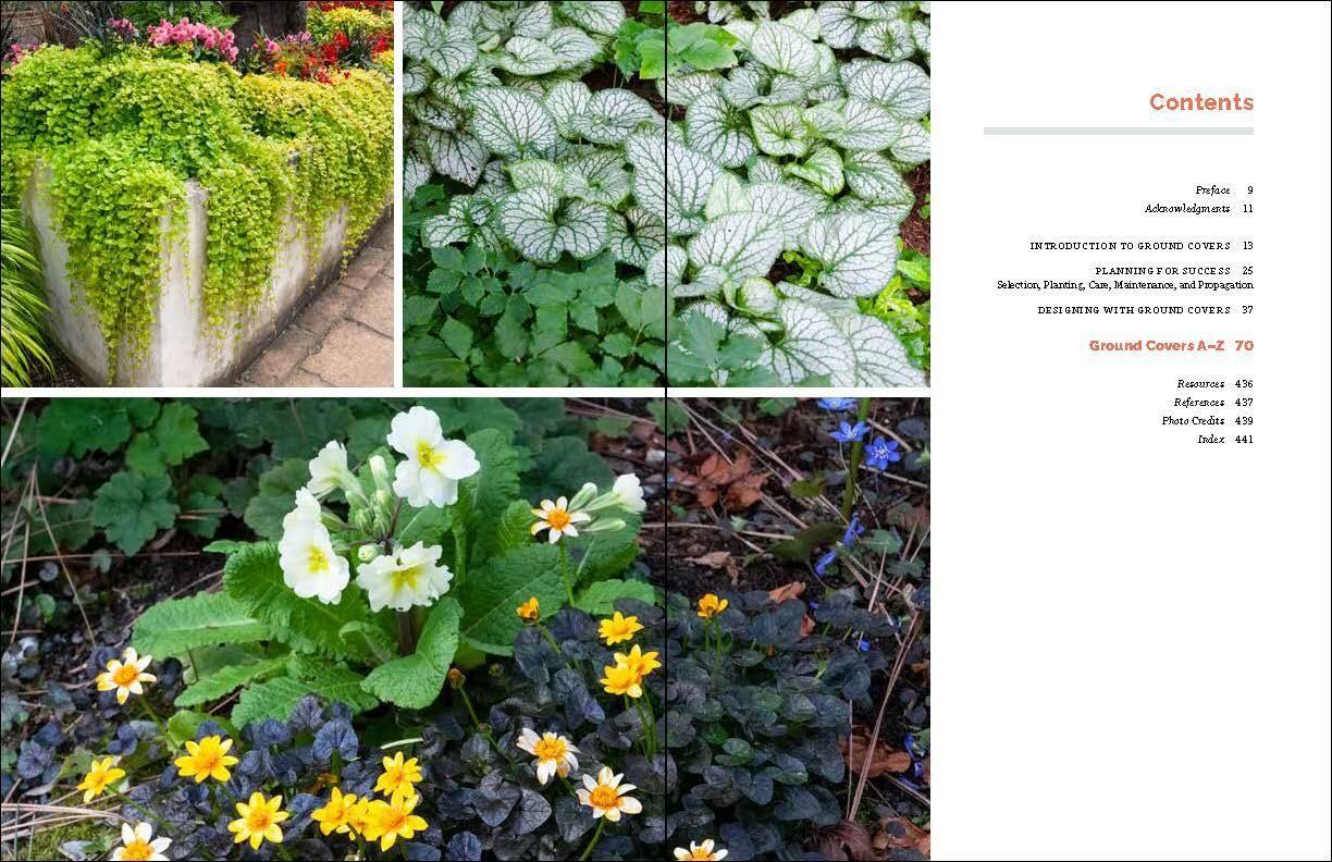 Beispielinhalt (Bild) The Complete Book of Ground Covers