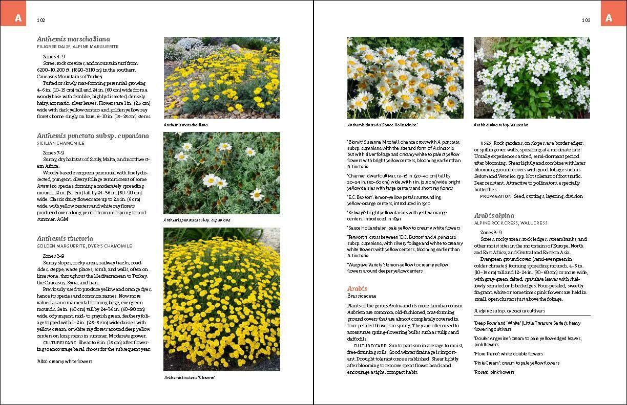Beispielinhalt (Bild) The Complete Book of Ground Covers