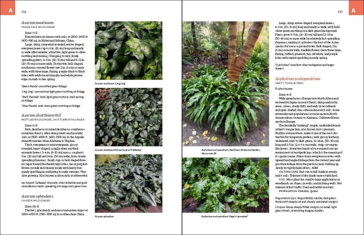 Beispielinhalt (Bild) The Complete Book of Ground Covers