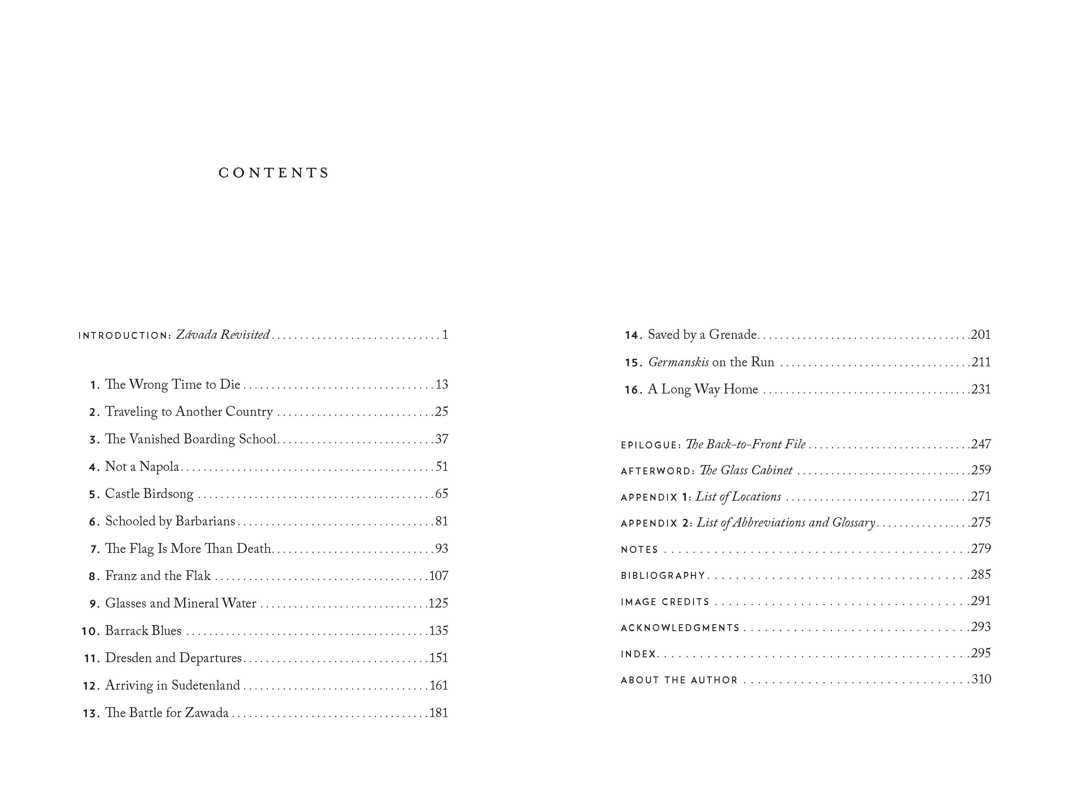 Beispielinhalt (Bild) Hitler's Boy Soldiers