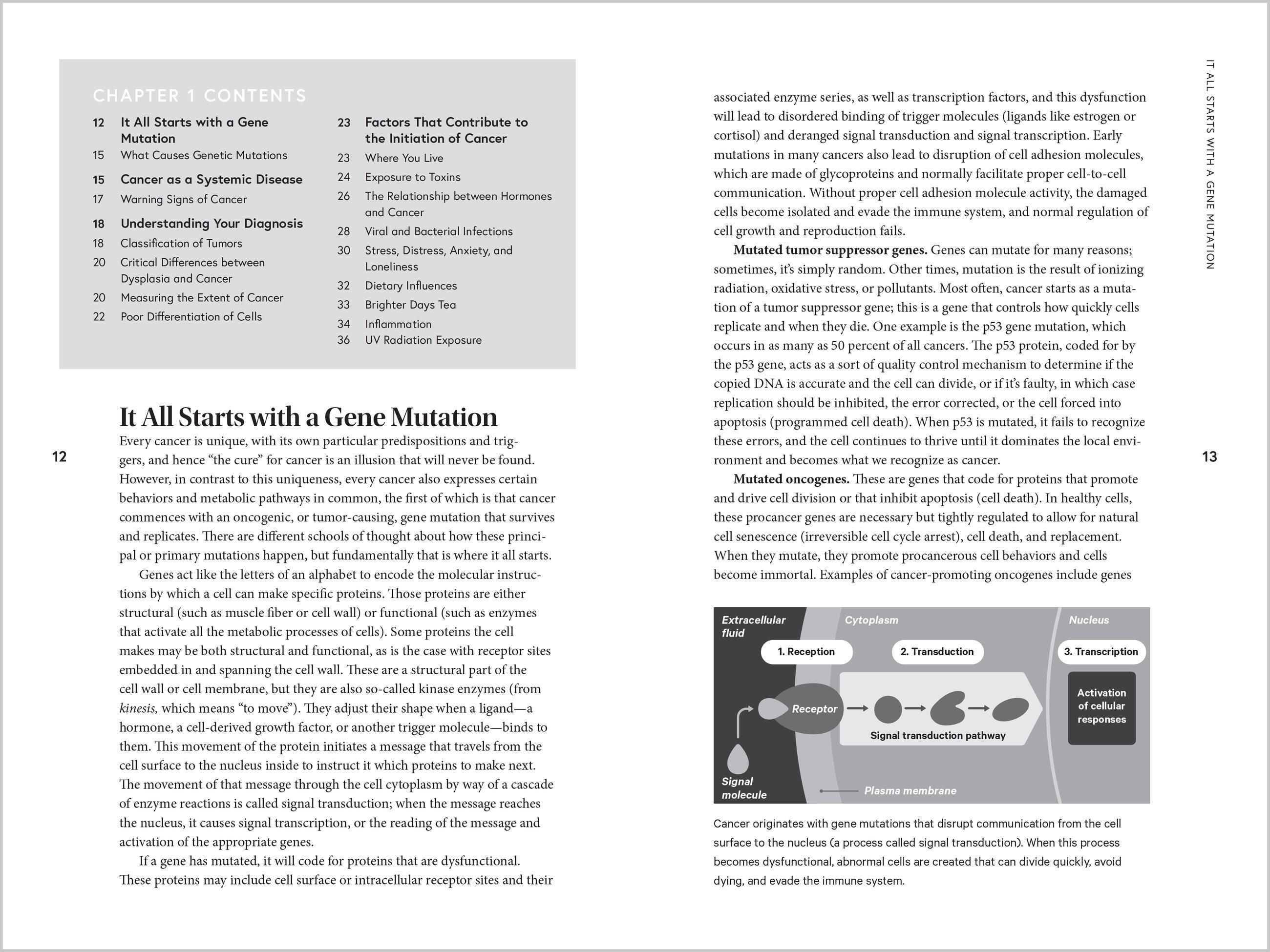 Beispielinhalt (Bild) Holistic Cancer Care