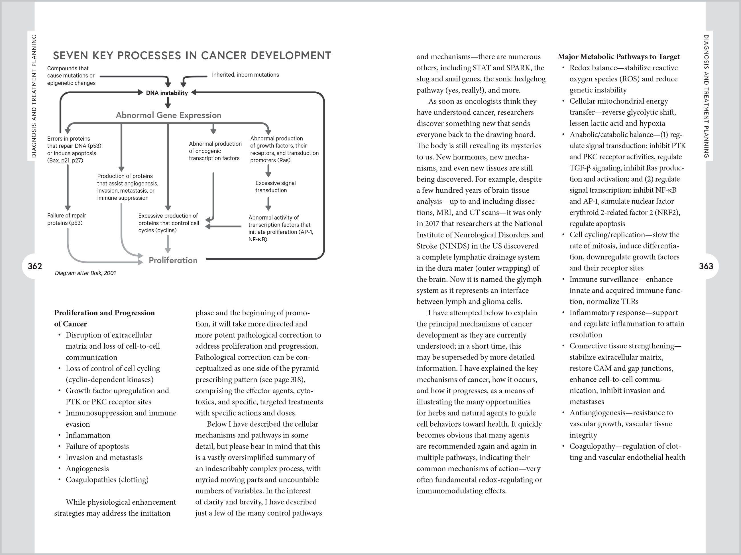 Beispielinhalt (Bild) Holistic Cancer Care