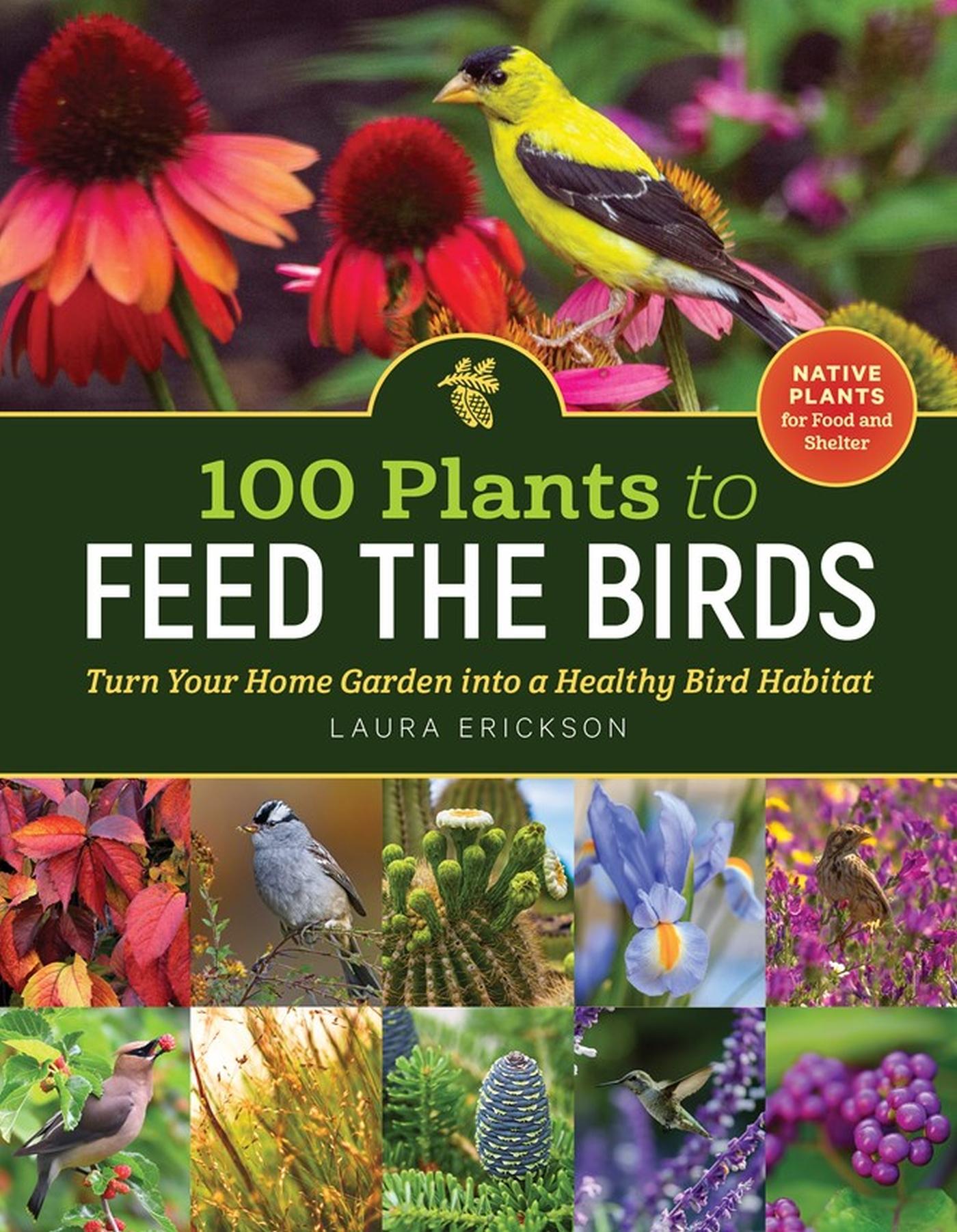 Vorderes Coverbild 100 Plants to Feed the Birds