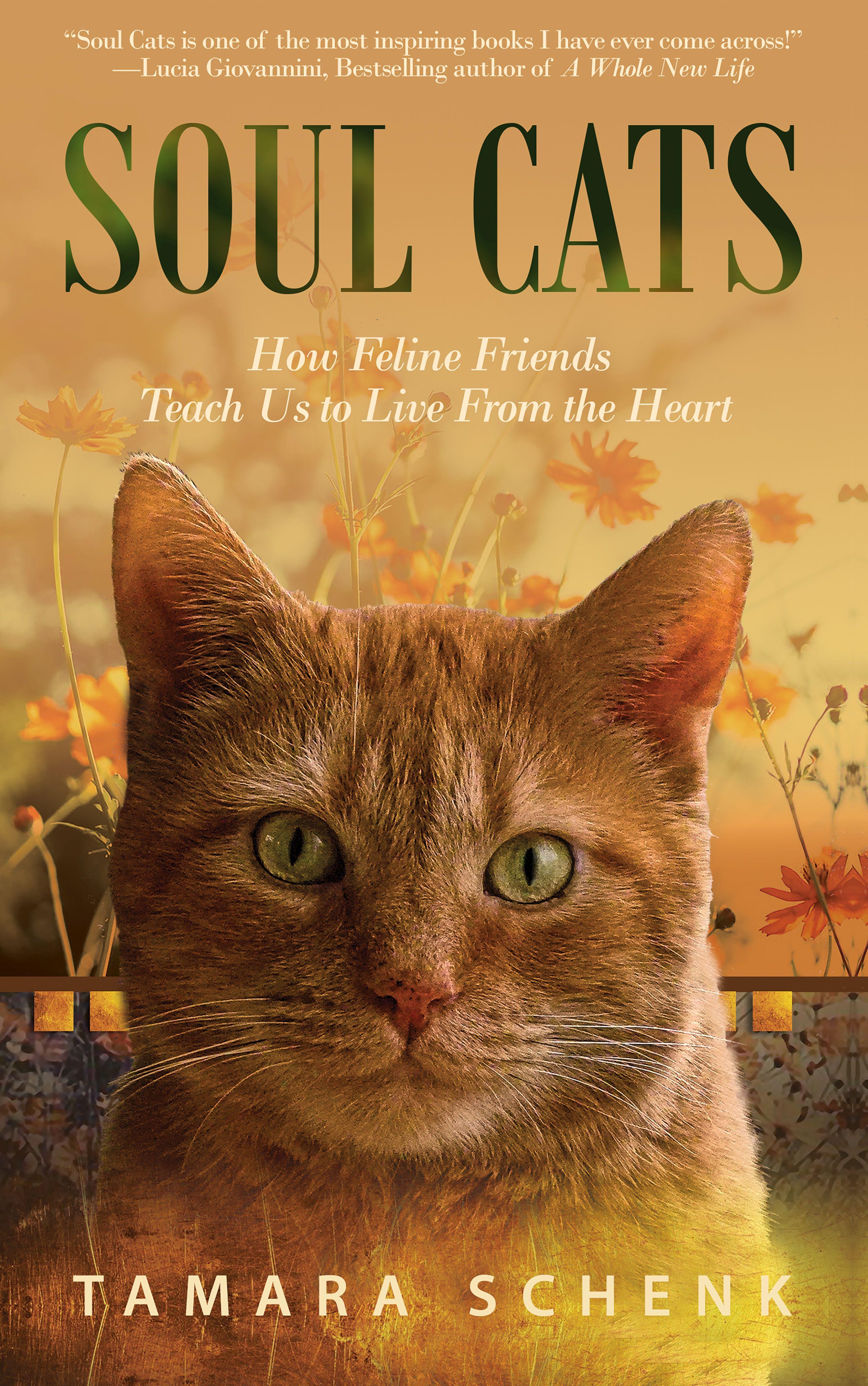 Vorderes Coverbild Soul Cats