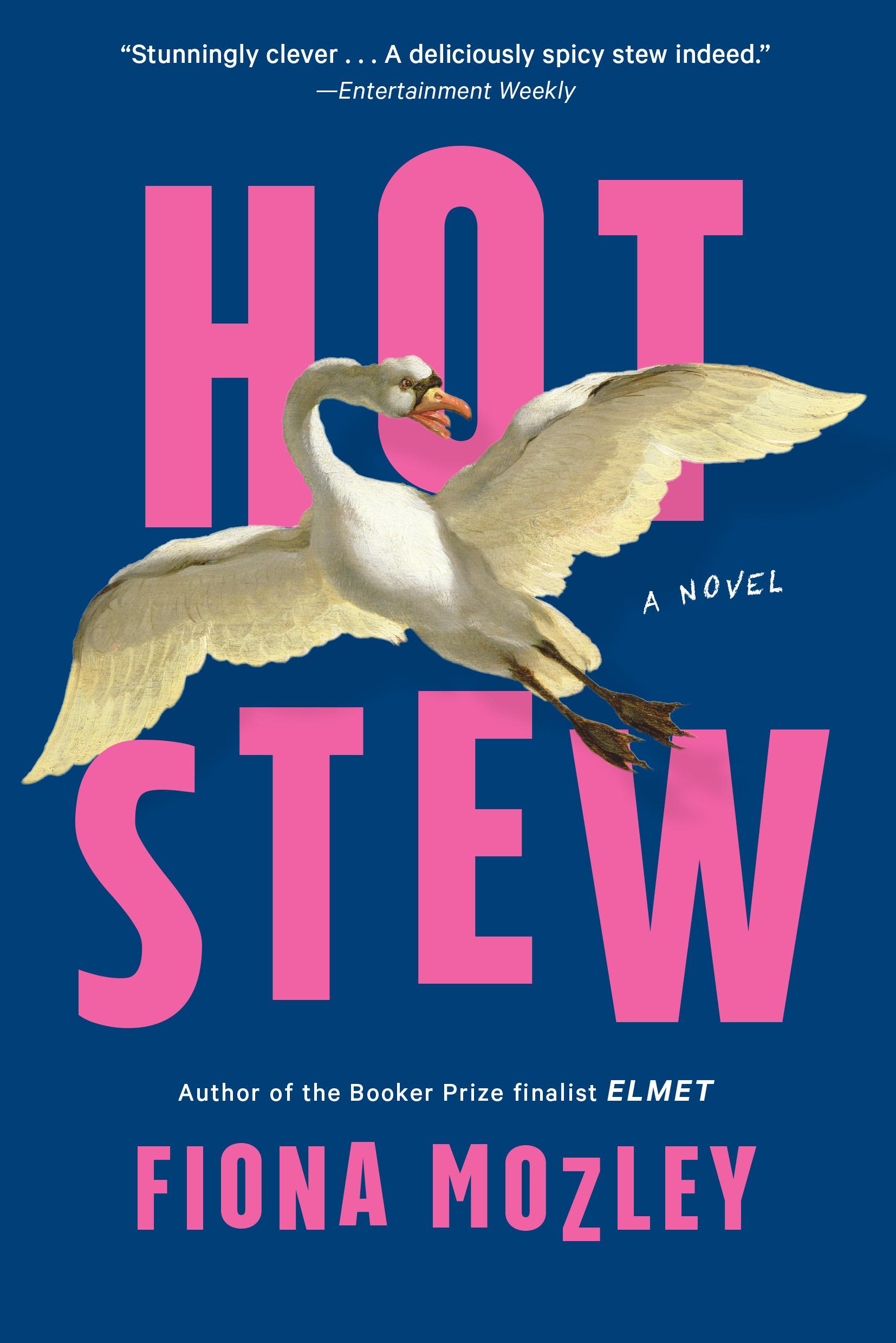 Vorderes Coverbild Hot Stew