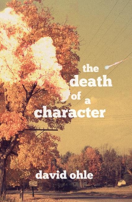 Vorderes Coverbild The Death of a Character