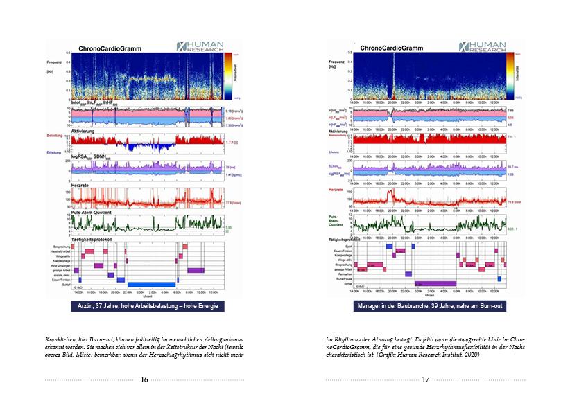 Beispielinhalt (Bild) Kerngesund mit der Kraft des Waldes