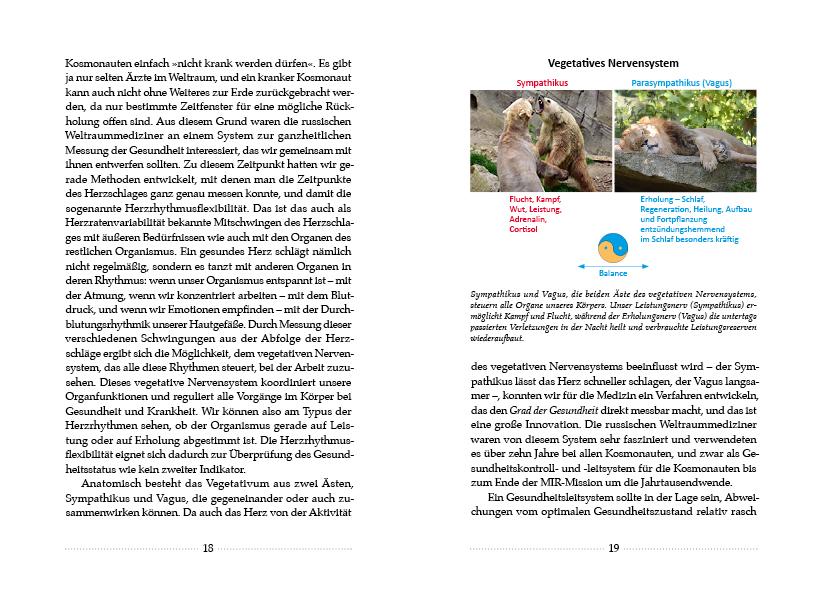 Beispielinhalt (Bild) Kerngesund mit der Kraft des Waldes