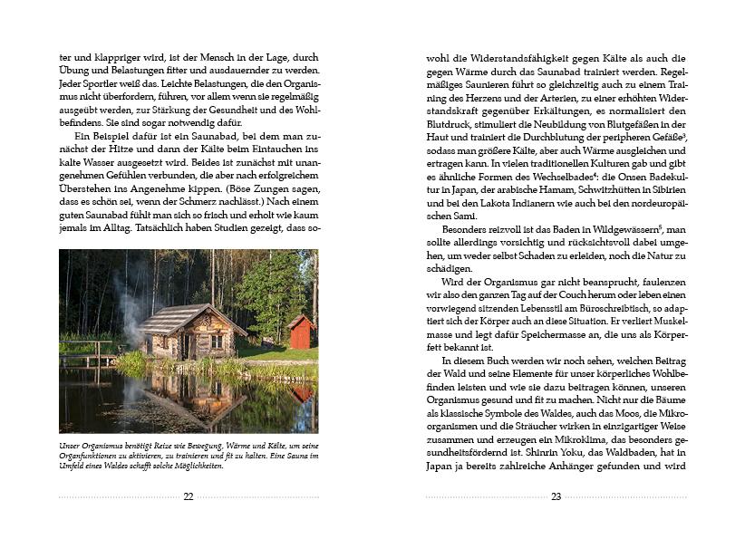 Beispielinhalt (Bild) Kerngesund mit der Kraft des Waldes