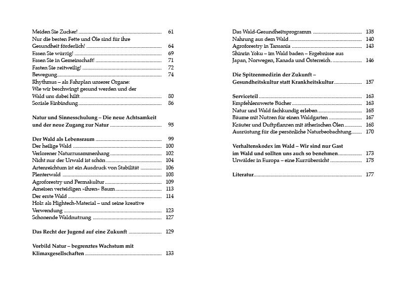 Beispielinhalt (Bild) Kerngesund mit der Kraft des Waldes