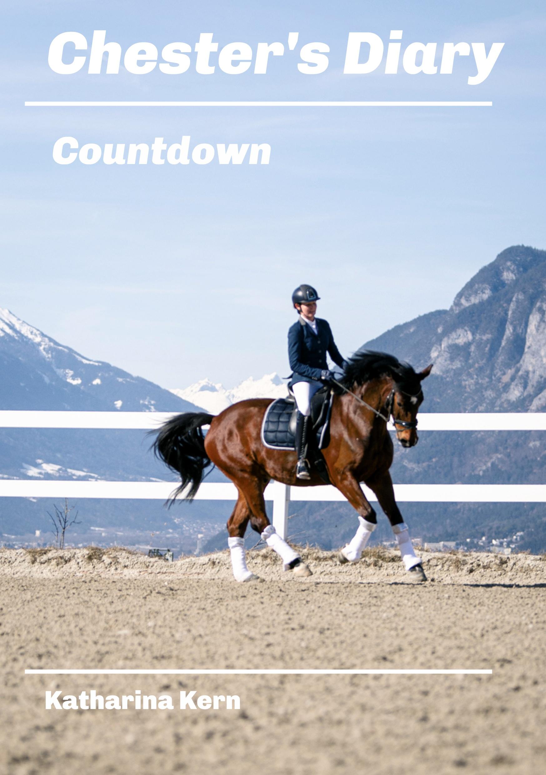 Vorderes Coverbild Chester's Diary