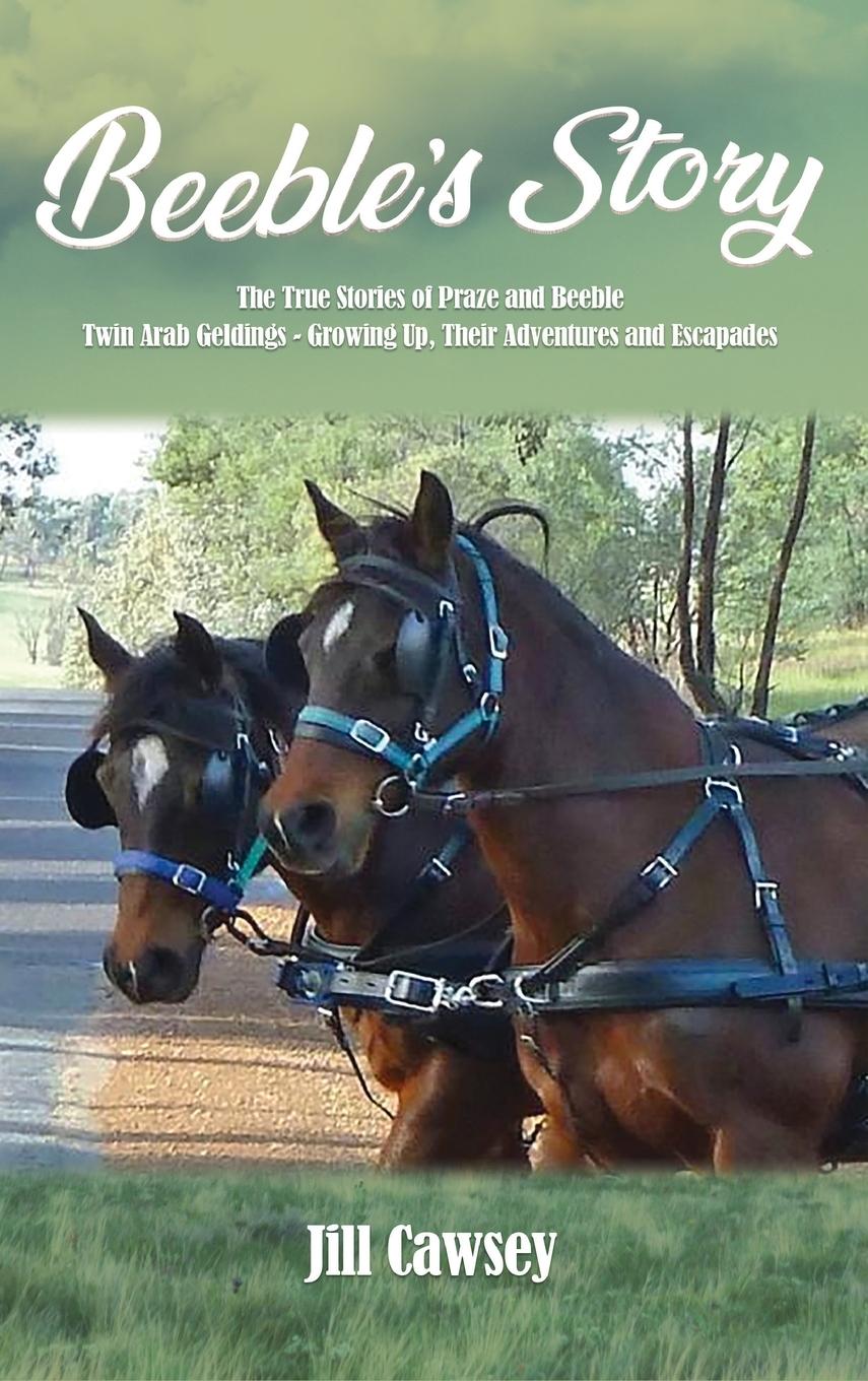 Vorderes Coverbild Beeble's Story