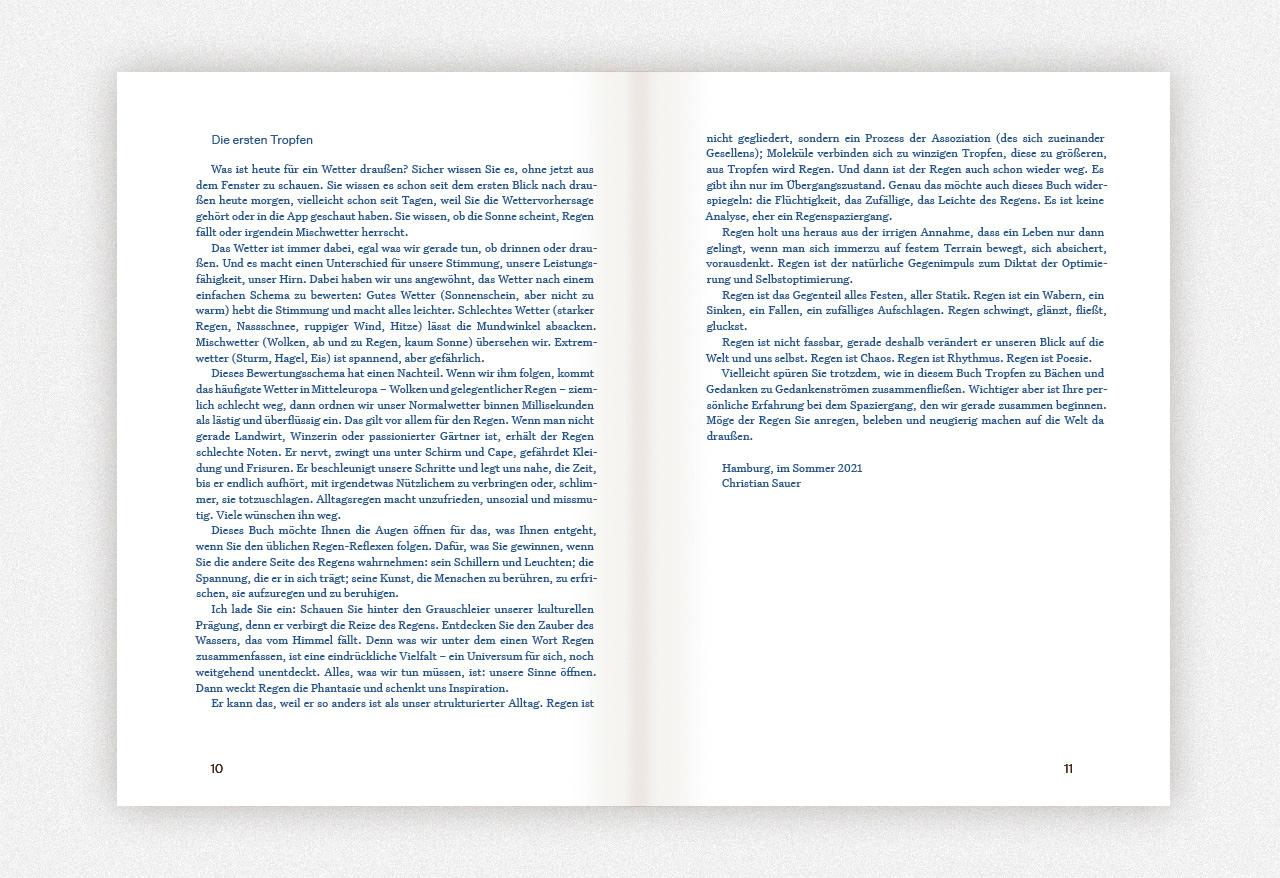 Beispielinhalt (Bild) Regen