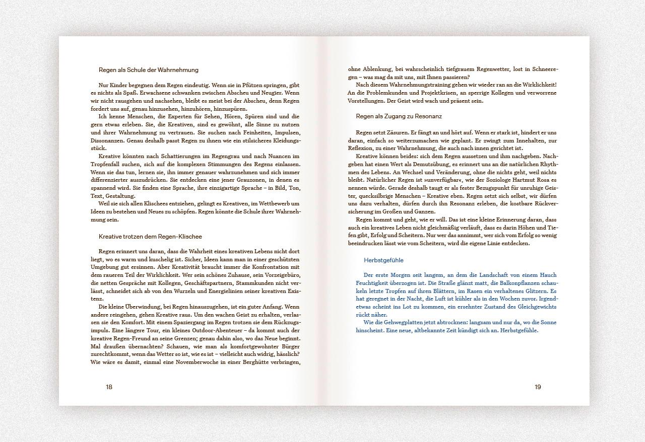 Beispielinhalt (Bild) Regen