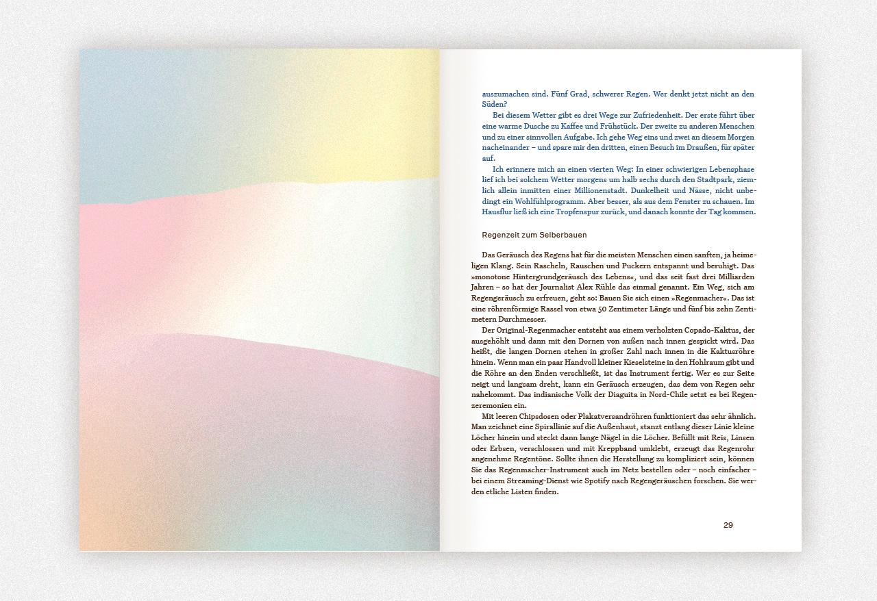 Beispielinhalt (Bild) Regen