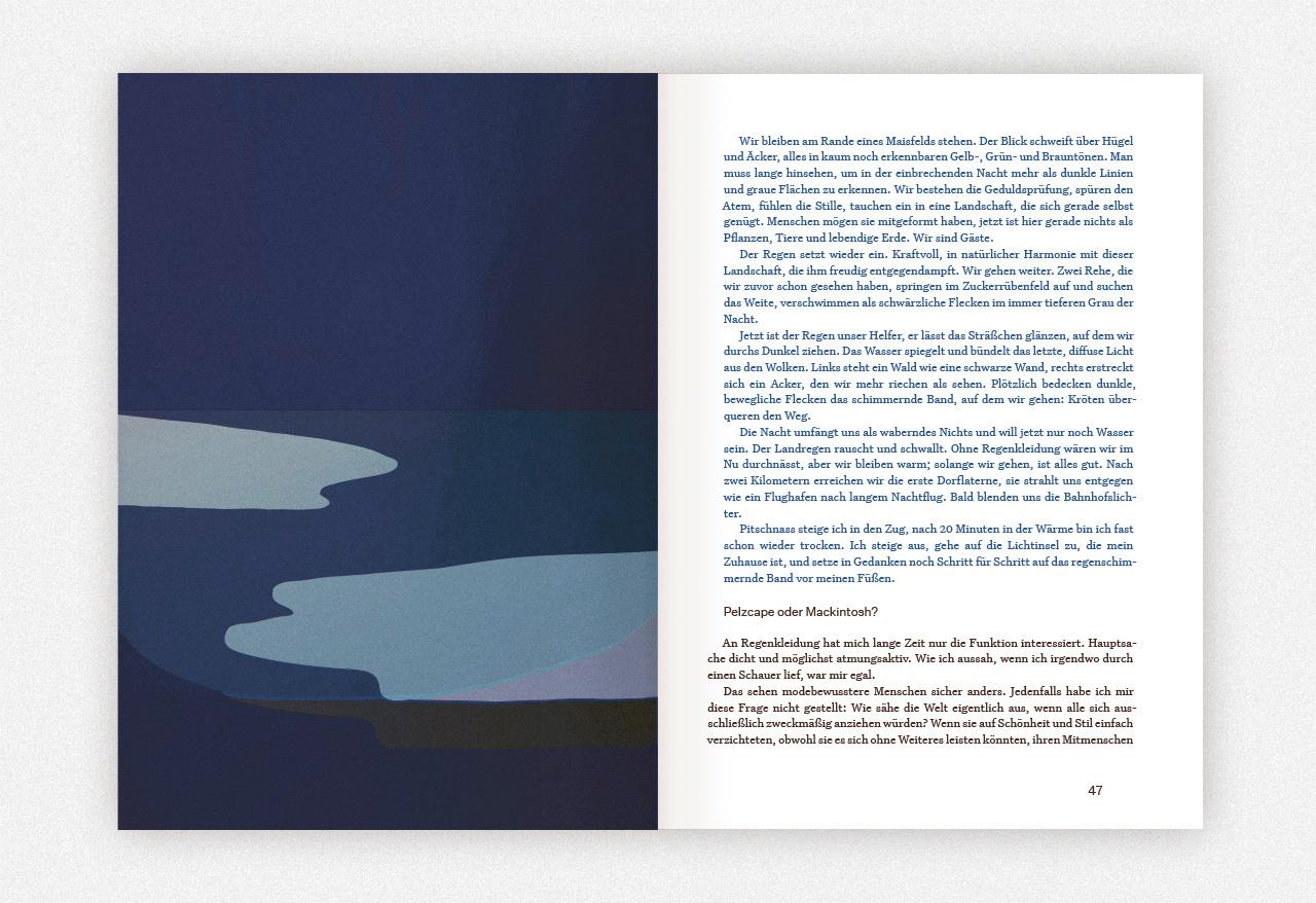 Beispielinhalt (Bild) Regen