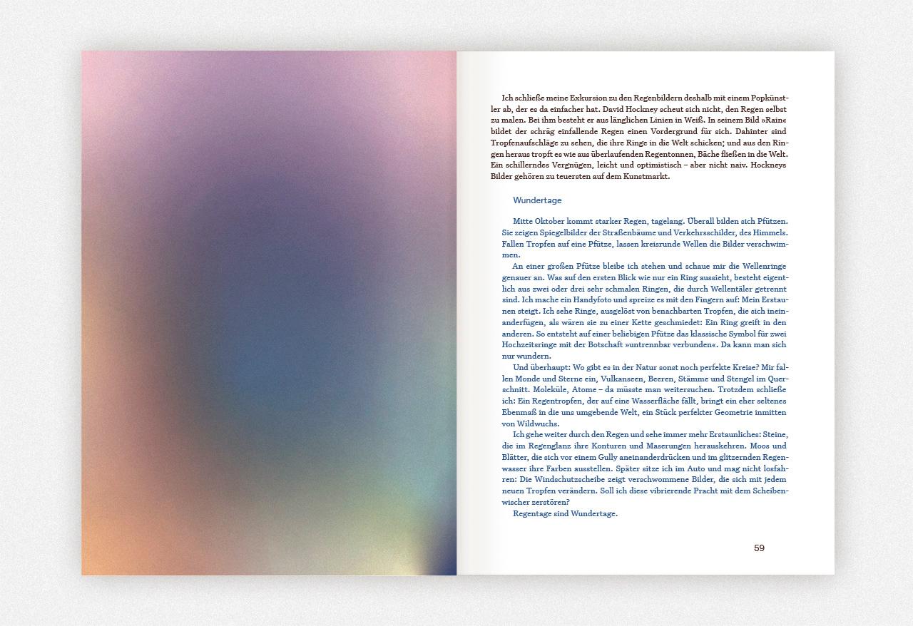 Beispielinhalt (Bild) Regen