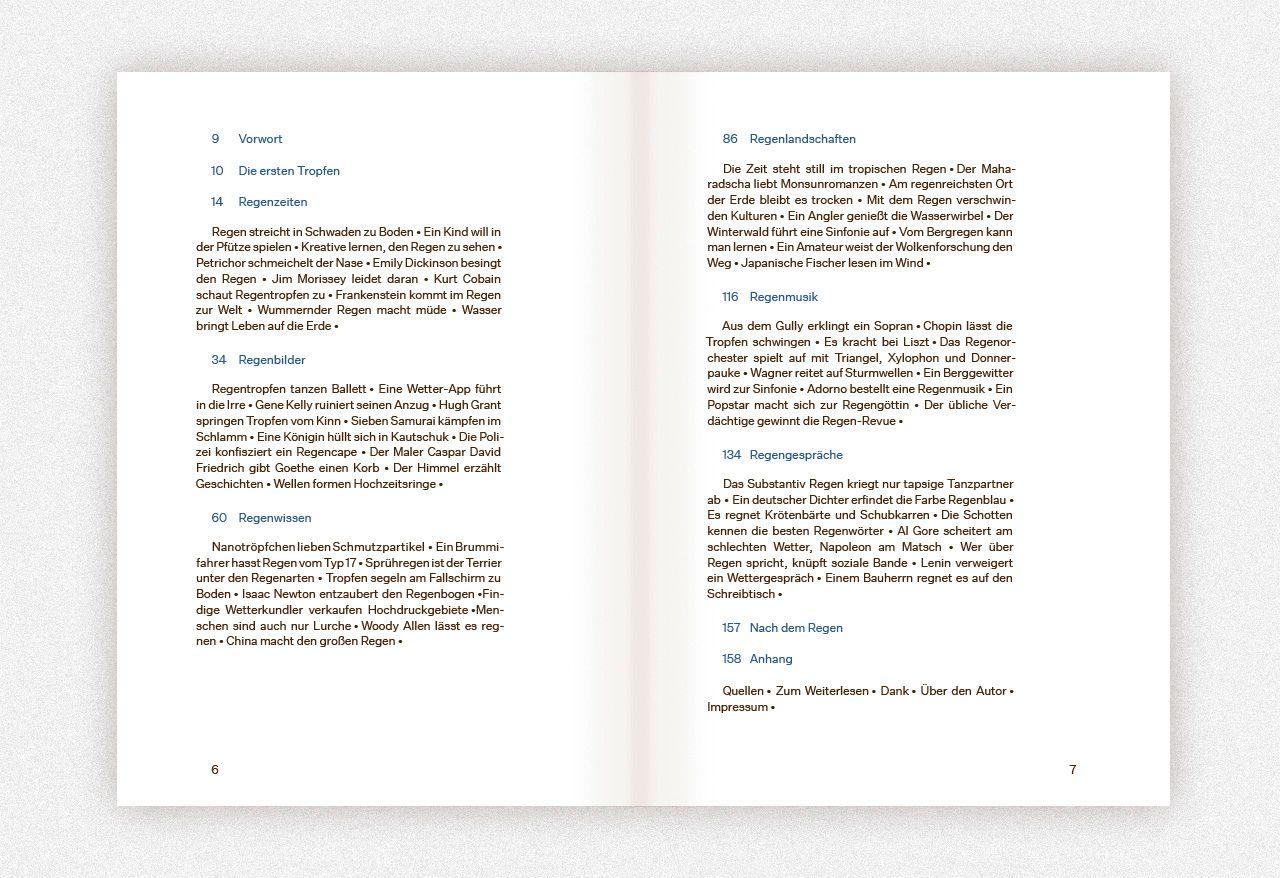 Beispielinhalt (Bild) Regen