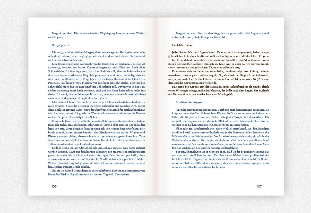 Beispielinhalt (Bild) Regen