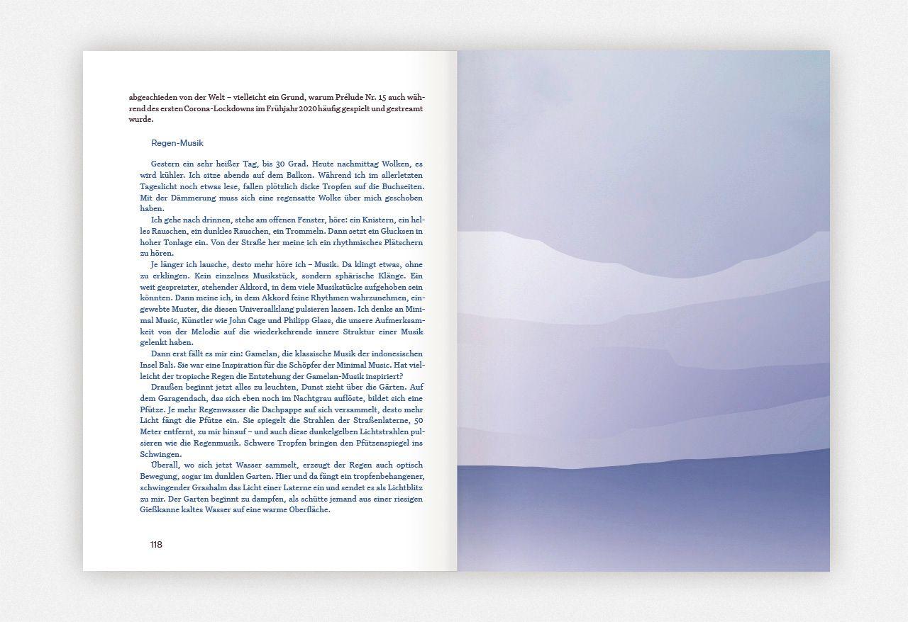 Beispielinhalt (Bild) Regen