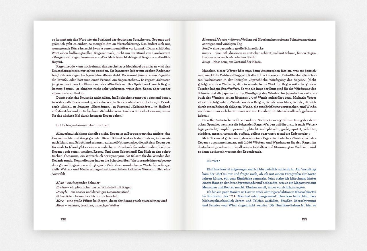 Beispielinhalt (Bild) Regen