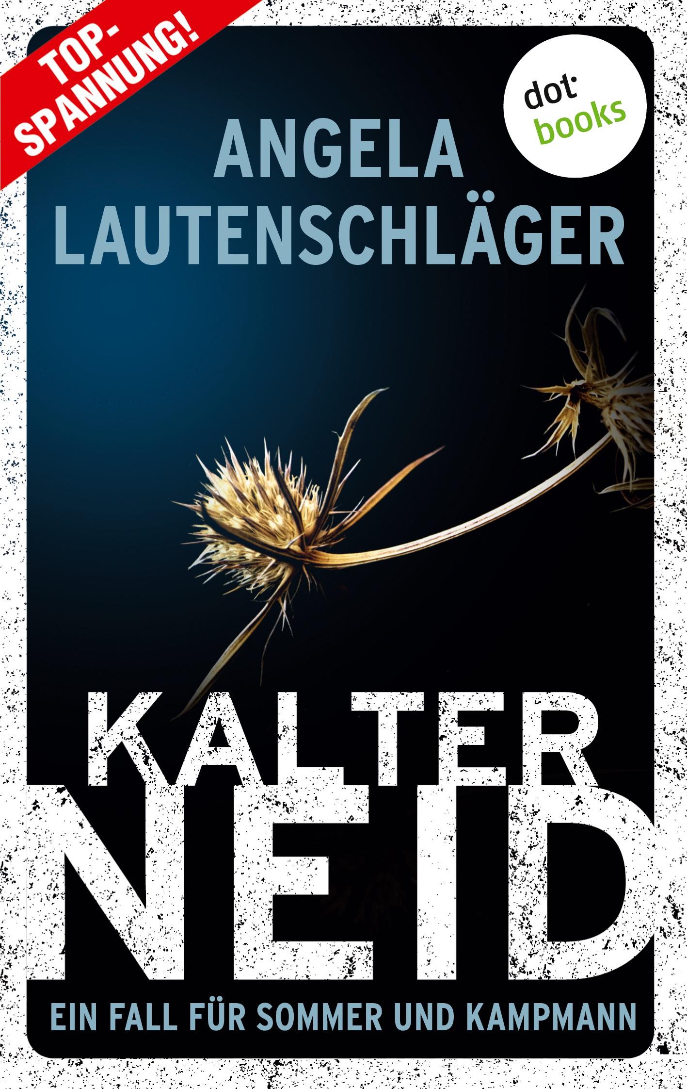 Vorderes Coverbild Kalter Neid - Ein Fall für Sommer und Kampmann: Band 1