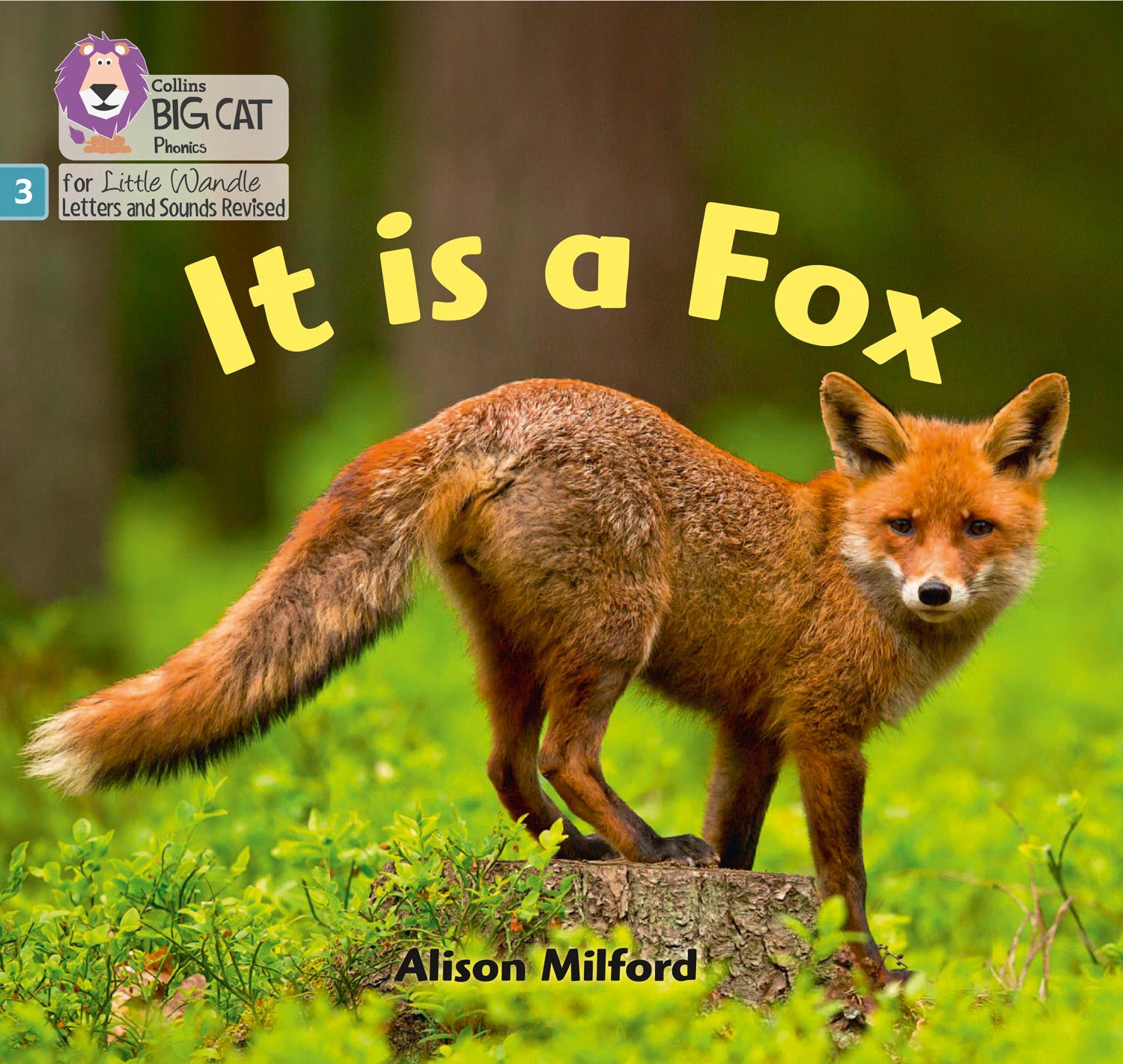 Vorderes Coverbild It is a Fox