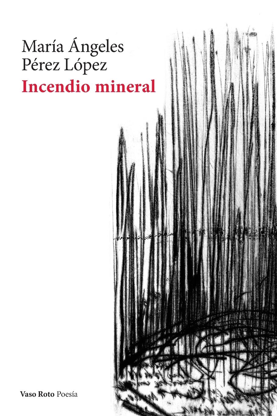 Vorderes Coverbild Incendio mineral