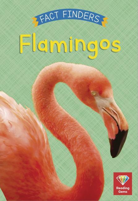 Vorderes Coverbild Flamingos