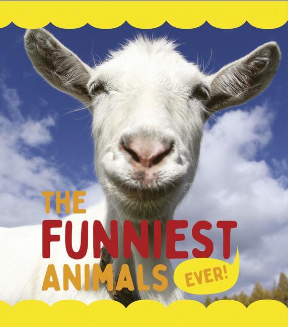 Vorderes Coverbild The Funniest Animals Ever
