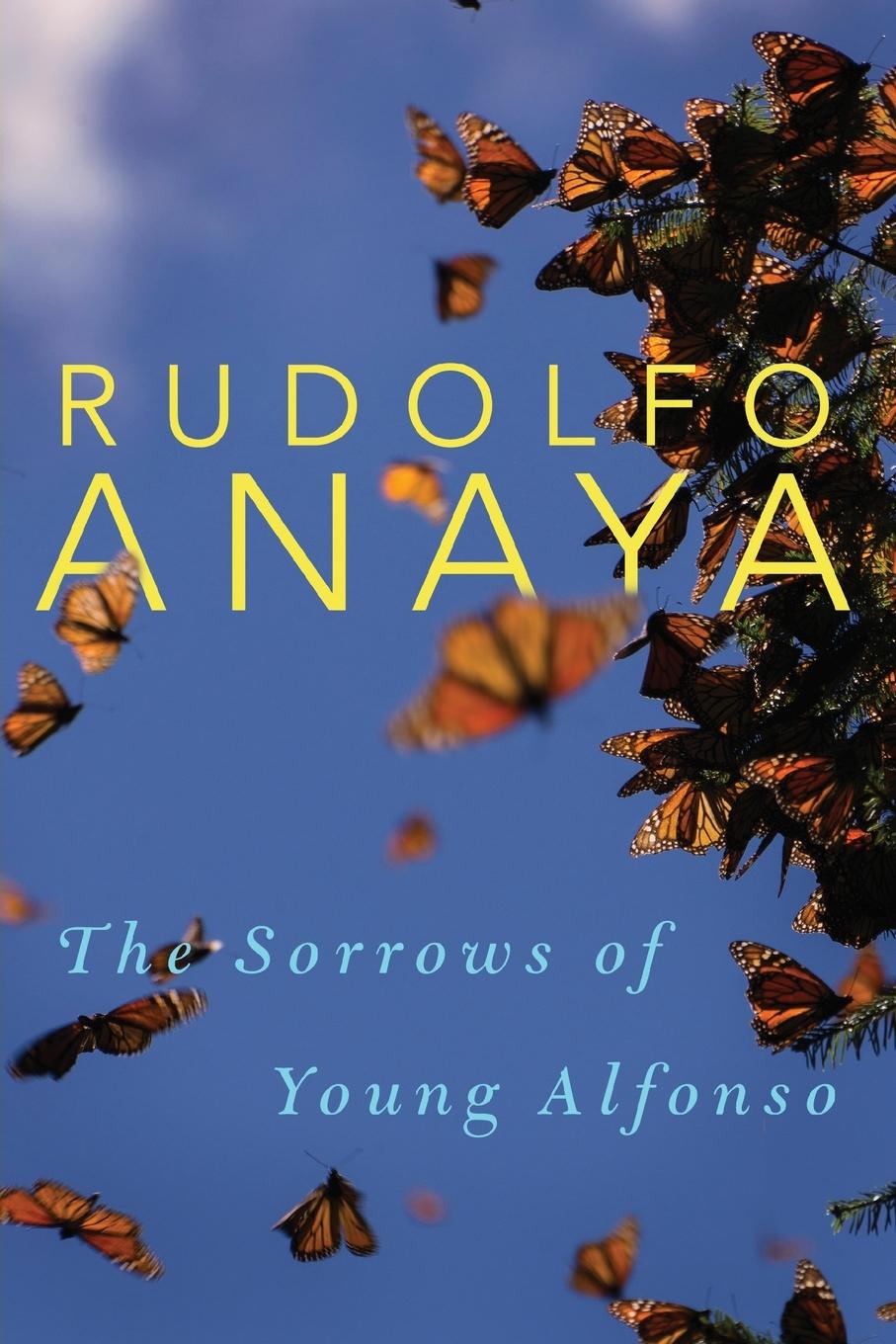 Vorderes Coverbild Sorrows of Young Alfonso