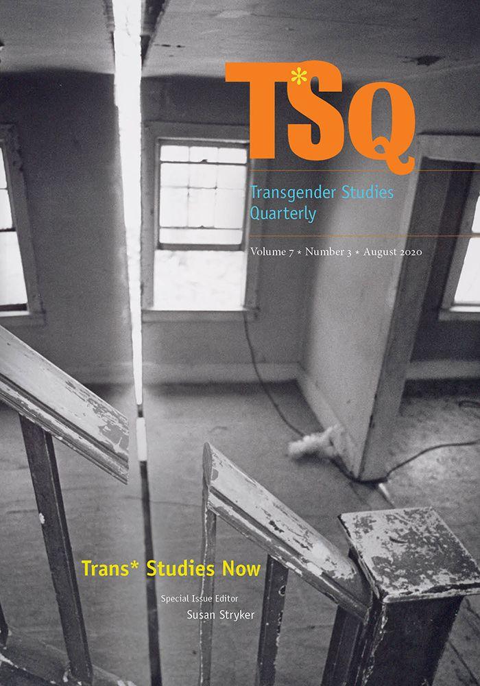 Vorderes Coverbild Trans* Studies Now