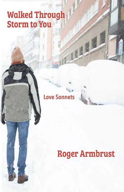 Vorderes Coverbild Walked Through Storm to You