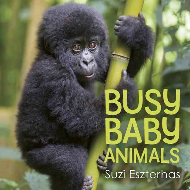 Vorderes Coverbild Busy Baby Animals