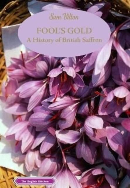 Vorderes Coverbild Fool's Gold