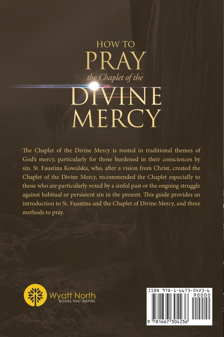 Rückseitencover How to Pray the Chaplet of the Divine Mercy