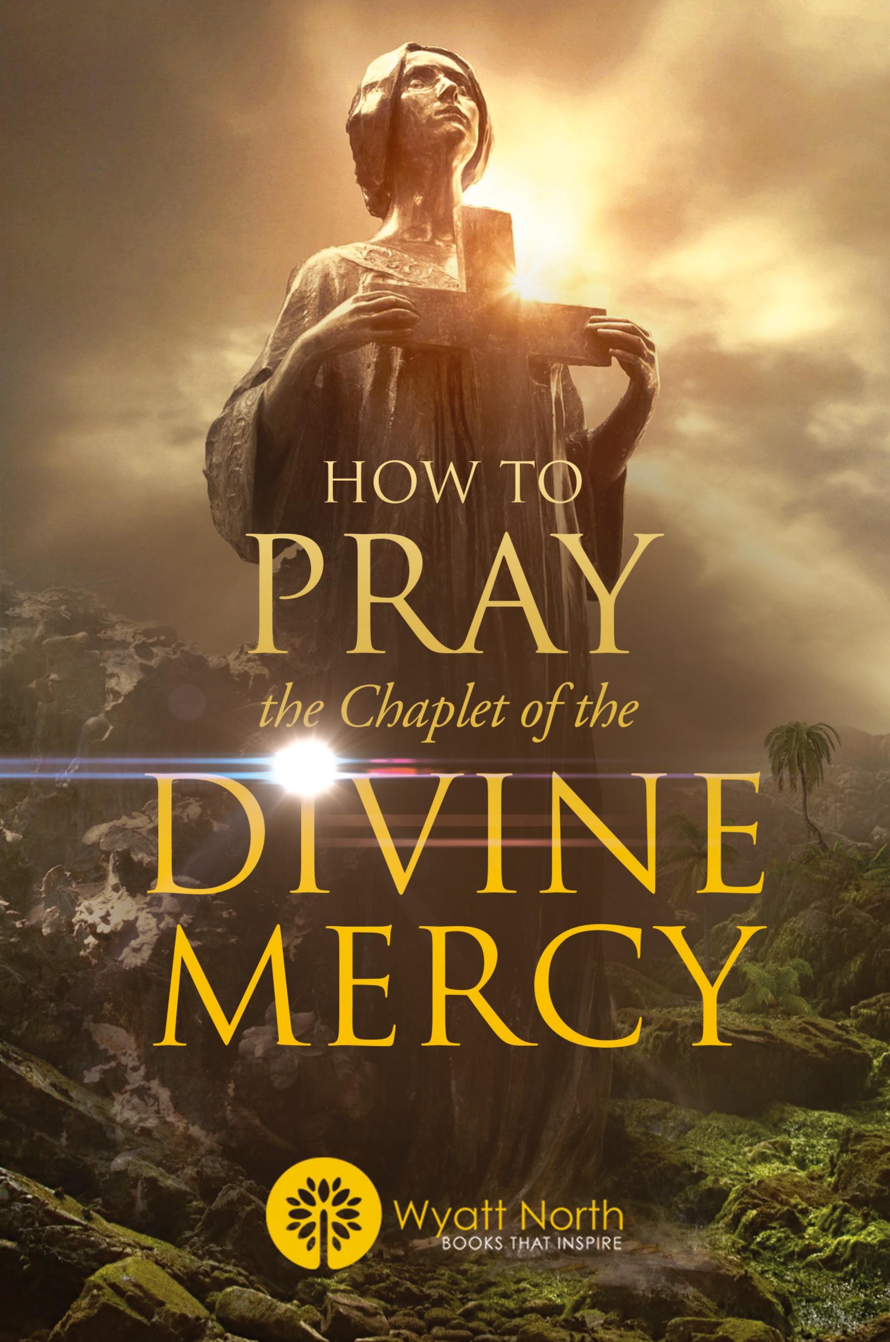 Vorderes Coverbild How to Pray the Chaplet of the Divine Mercy