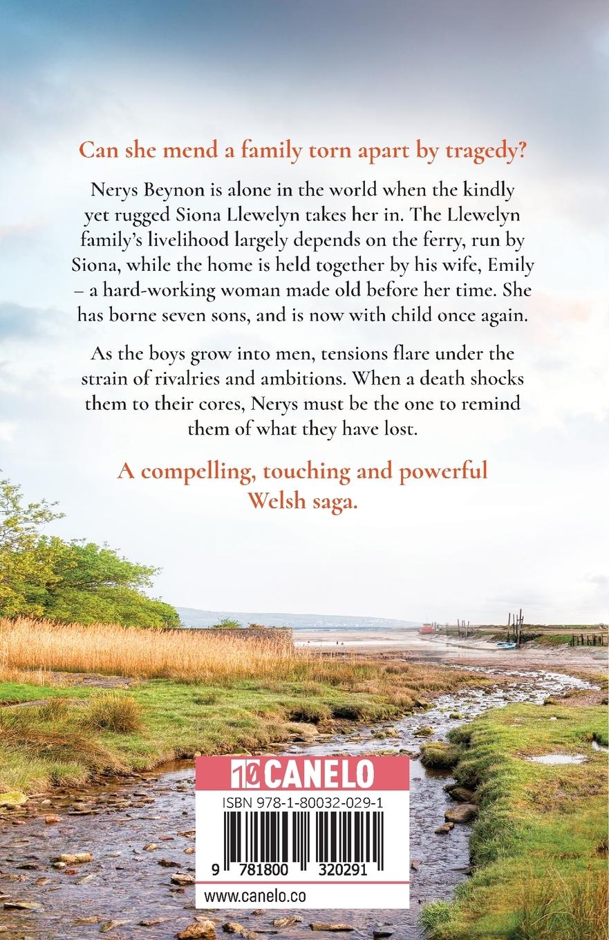 Rückseitencover Fiddler's Ferry