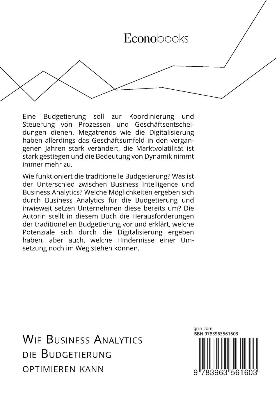Rückseitencover Wie Business Analytics die Budgetierung optimieren kann. Potenziale und Status Quo