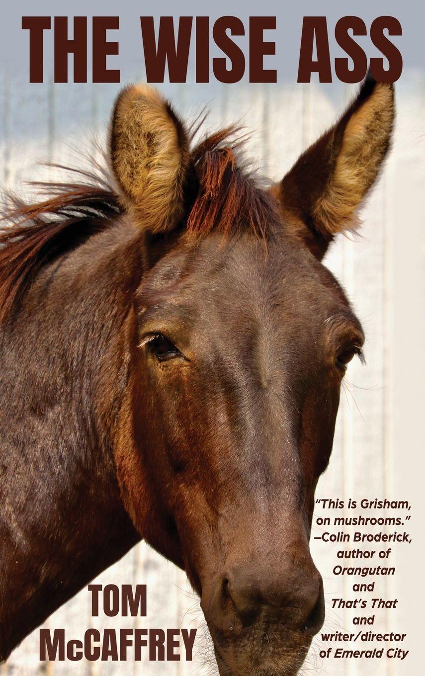 Vorderes Coverbild The Wise Ass