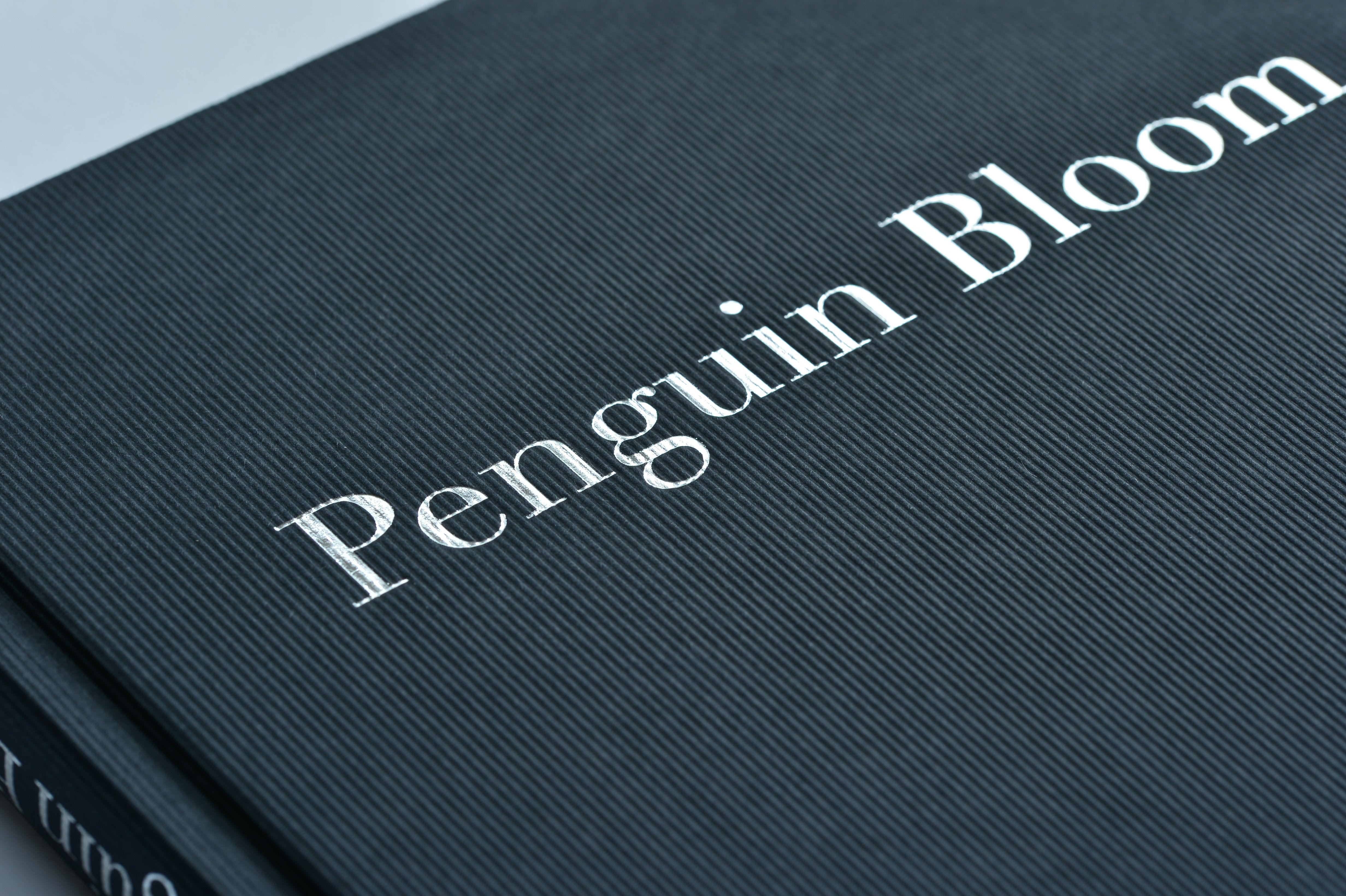 Beispielinhalt (Bild) Penguin Bloom